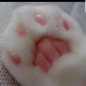 Meet your Posher, Janene